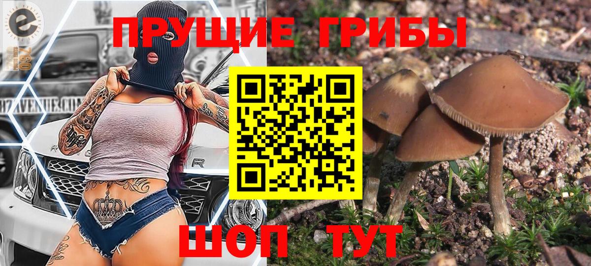 Псилоцибиновые грибы мухоморы  Вход с VPN  Зеленодольск 