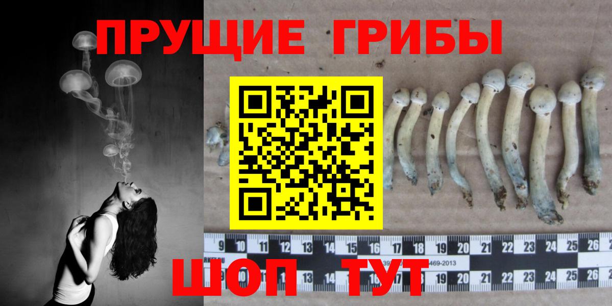 Галлюциногенные грибы мухоморы Зеленодольск